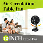 12inch Desktop Fan Air Circulation Fan 90W High Power Electric Fan Made in China