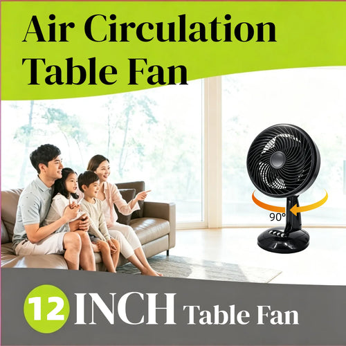12inch Desktop Fan Air Circulation Fan 90W High Power Electric Fan Made in China