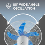 Industrial Grade 5-Blade Pedestal Fan with 1-Hour Timer JH FF-006
